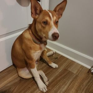 Meet your Posher, Maria